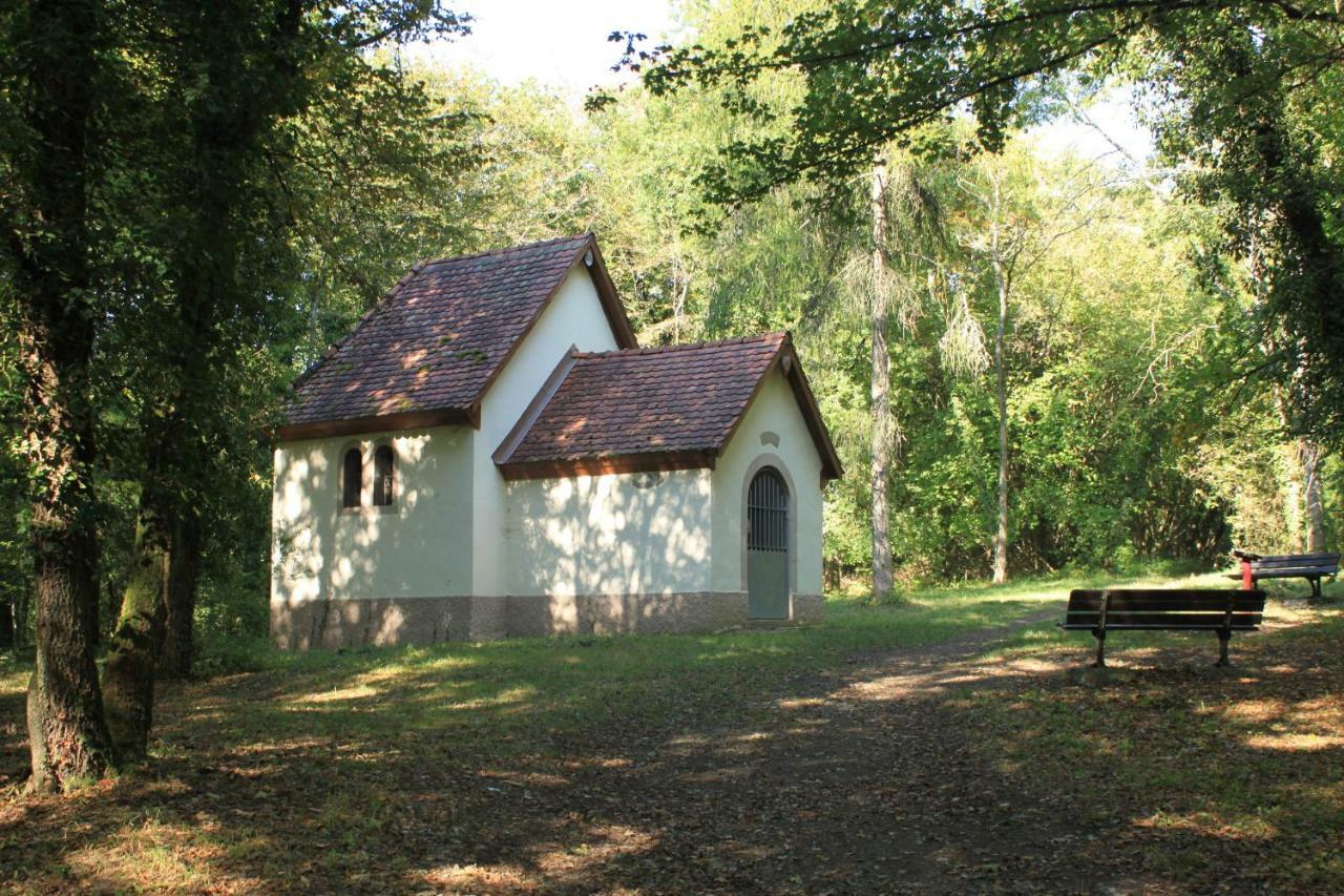 Villa Bonheur Illfurth Alsace 4 Chambres Экстерьер фото